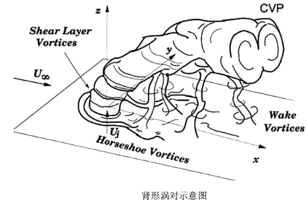 Schematic diagram of kidney-shaped vortex pair