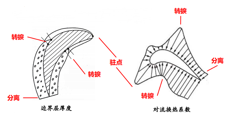 Heat transfer characteristics of turbine blade outer surface