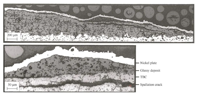 Cross-section image of a ceramic coating