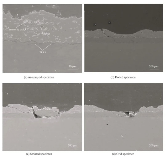 Cross-sectional morphology of several coatings after thermal shock test