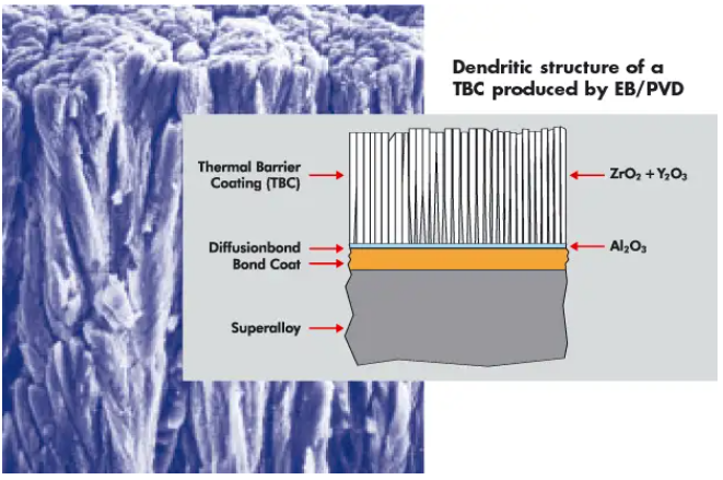 Microstructure of zirconia coating manufactured by EB-PVD process