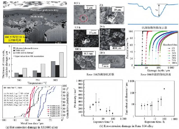 Evolution of the hot corrosion damage in powder metallurgy Ni-based superalloys