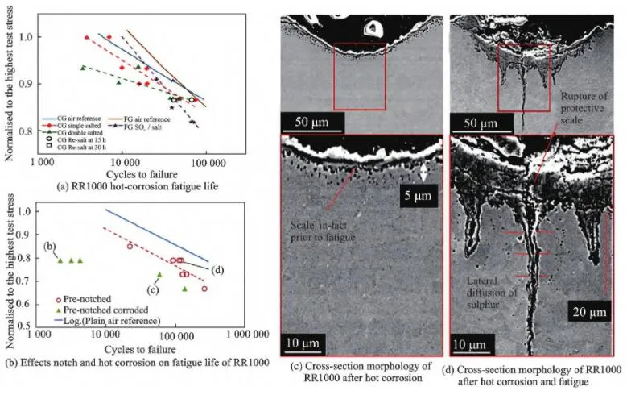  Hot corrosion-fatigue failure mechanisms of RR1000 alloy