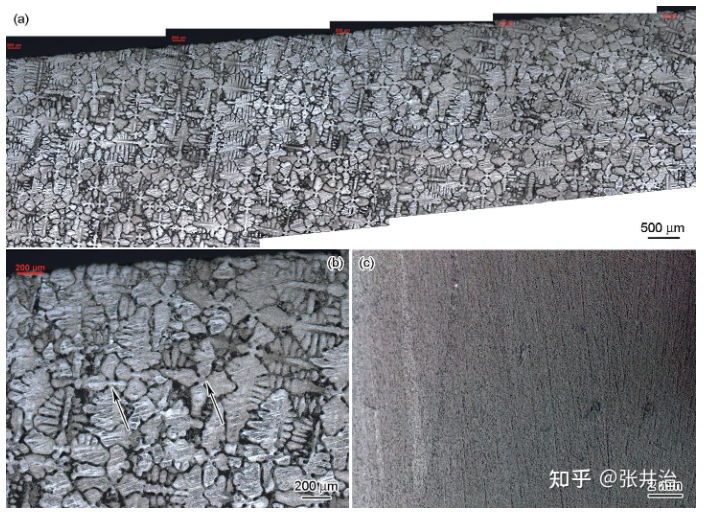 Single crystal blade body microstructure