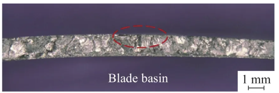 Figure 2.  Macroscopic image of the crack fracture