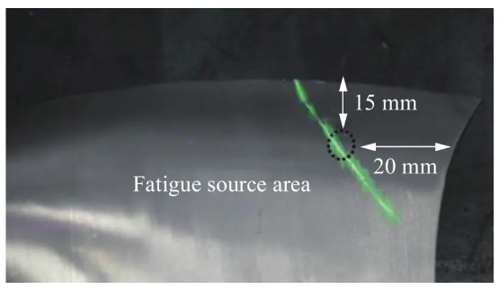 Figure 5.  Macroscopic image of the blade back side