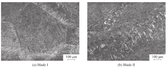 Figure 6.  Micromorphology image of the microstructure